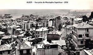 ALGER - VUE PRISE DE MUSTAPHA-SUPERIEUR - 1956